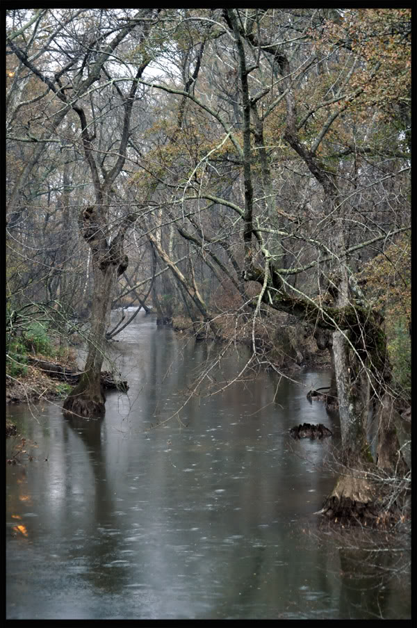 Name: _DSC0106copy.jpg
Views: 72
Size: 173.8 KB