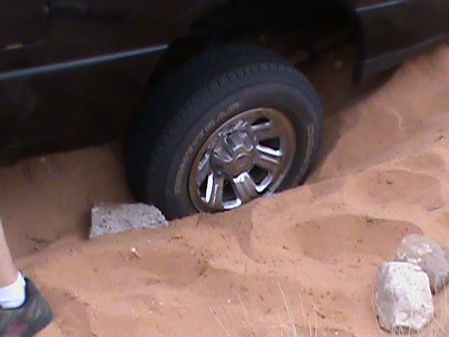 Name:  DSC00064.jpg
Views: 78
Size:  37.8 KB