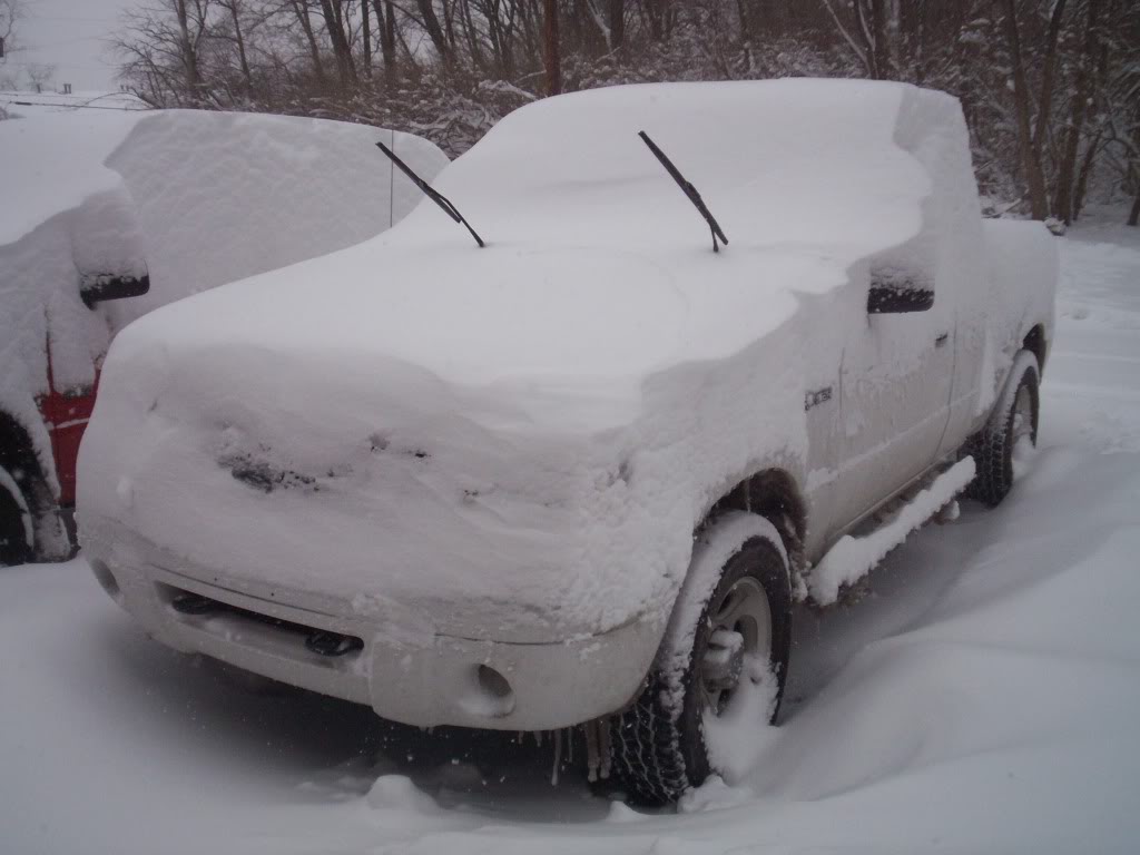 Name:  Blizzard08001.jpg
Views: 1205
Size:  79.5 KB
