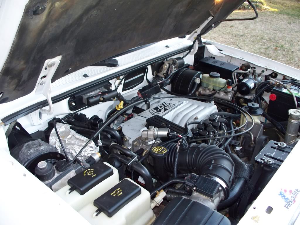 Name:  RangerPics009.jpg
Views: 77
Size:  163.1 KB