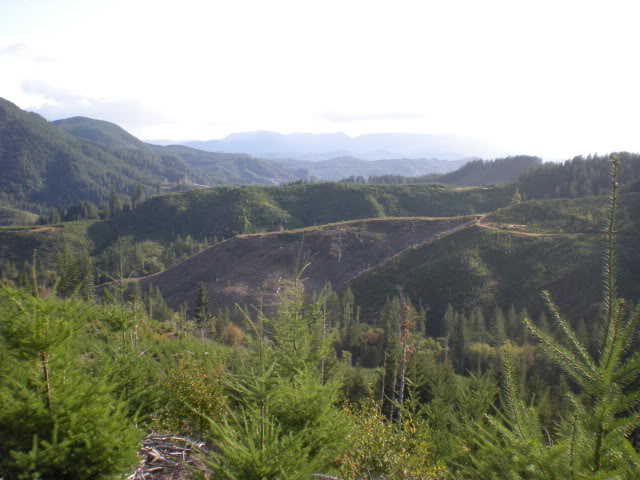 Name: DSCN5640.jpg
Views: 88
Size: 97.6 KB