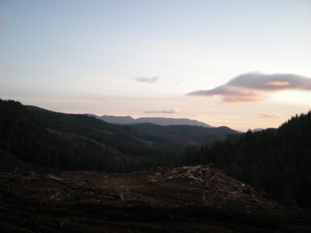 Name:  DSCN5645.jpg
Views: 76
Size:  59.4 KB