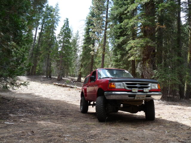 Name:  P1000910-1.jpg
Views: 101
Size:  122.0 KB