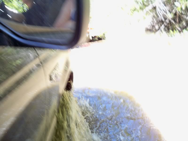 Name: 100_0842.jpg
Views: 36
Size: 55.5 KB