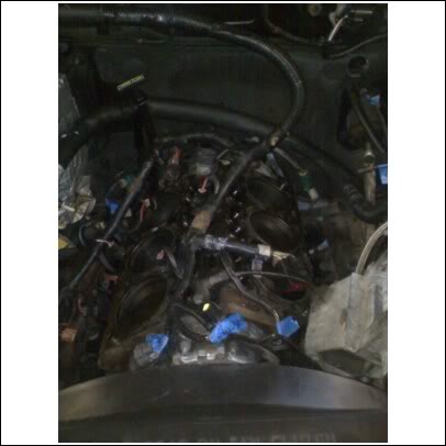 Name:  gasket4.jpg
Views: 152
Size:  22.0 KB