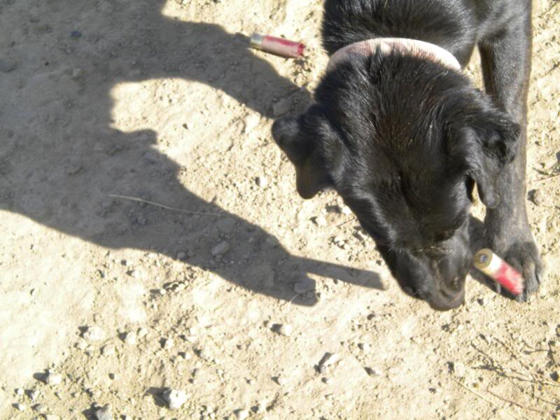Name:  DSCN0458.jpg
Views: 64
Size:  85.6 KB