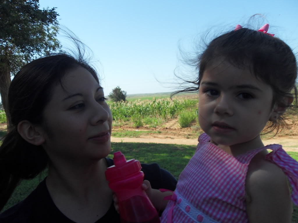 Name:  SDC10168.jpg
Views: 89
Size:  116.7 KB