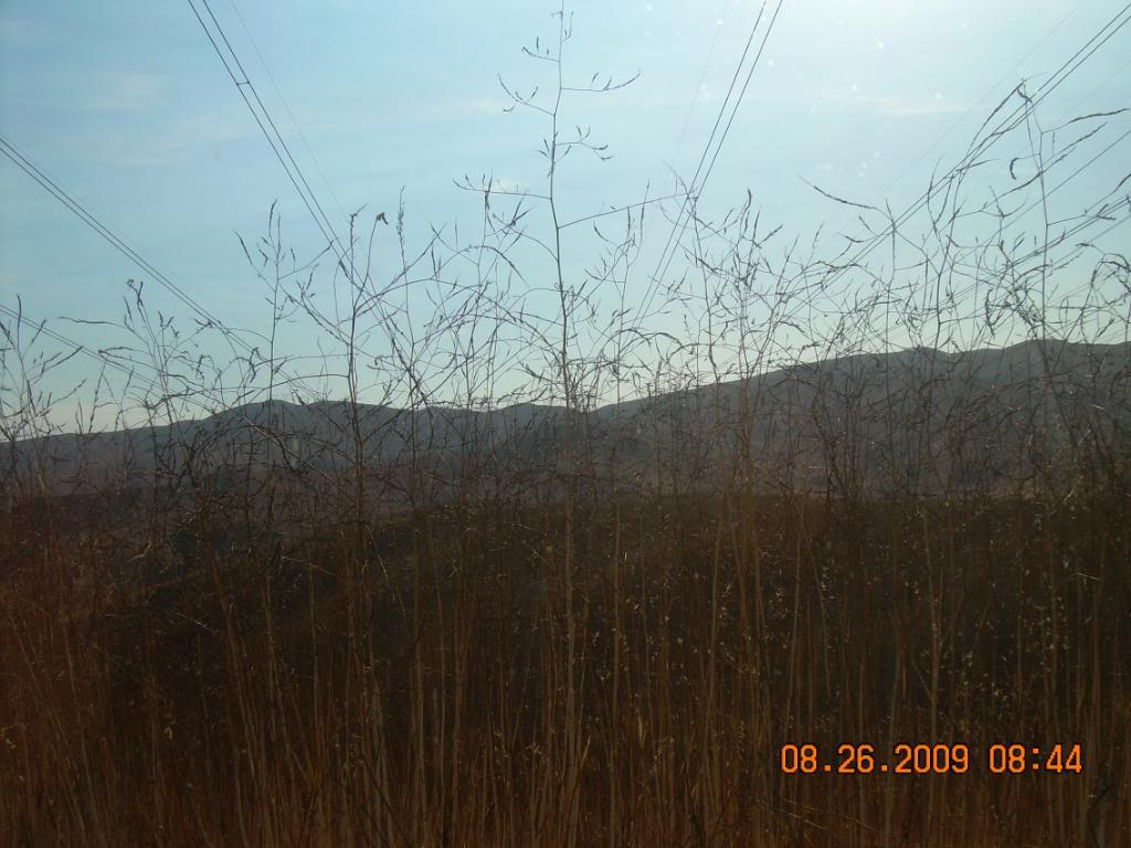 Name:  DSCN0756.jpg
Views: 220
Size:  108.0 KB