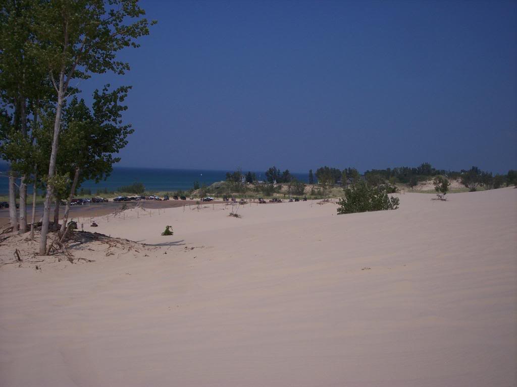 Name:  103_1893.jpg
Views: 181
Size:  53.9 KB