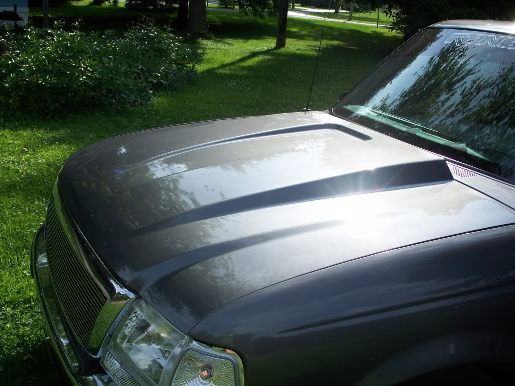 Name:  dailyandtruck003.jpg
Views: 68
Size:  143.3 KB