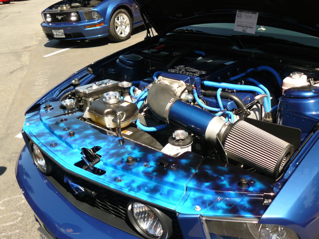 Name:  P1030417.jpg
Views: 92
Size:  204.5 KB