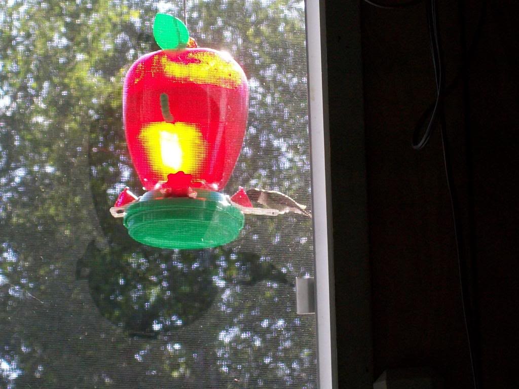 Name: 100_0078.jpg
Views: 65
Size: 119.3 KB