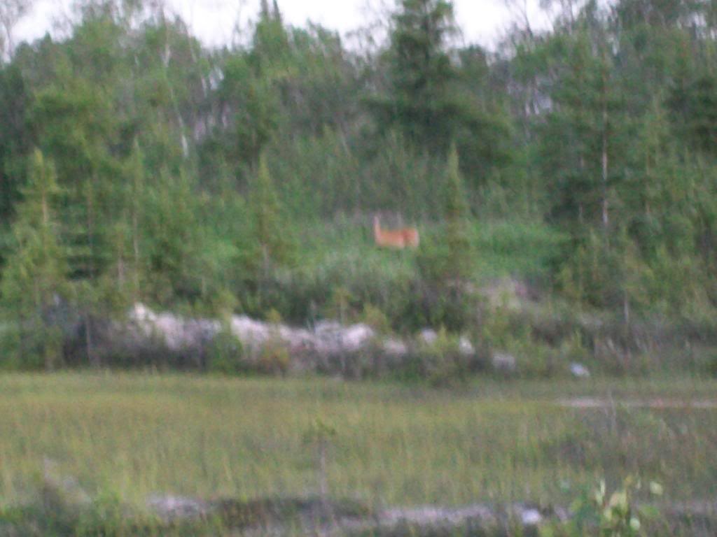 Name: 100_0062.jpg
Views: 37
Size: 72.4 KB