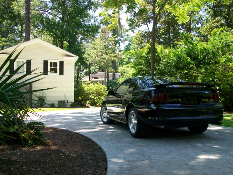 Name:  100_0104.jpg
Views: 60
Size:  128.9 KB