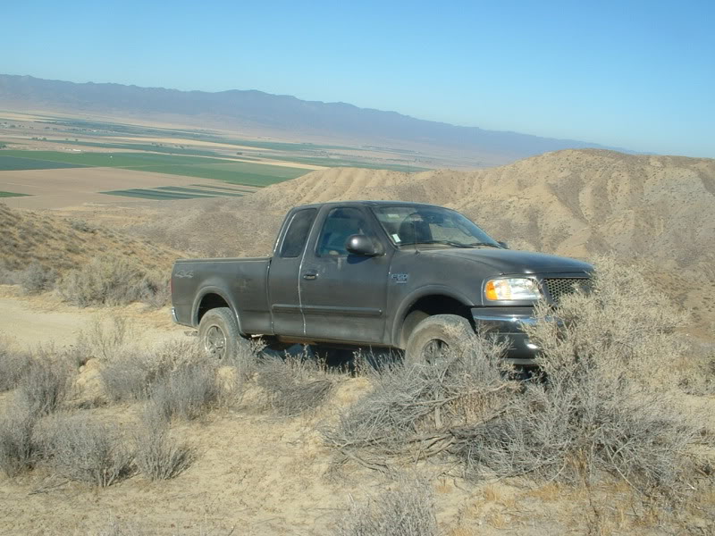 Name:  Pictureoffroad1032.jpg
Views: 101
Size:  117.3 KB