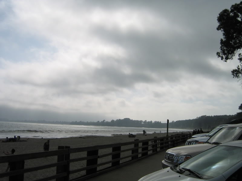 Name:  IMG_0135.jpg
Views: 64
Size:  52.4 KB