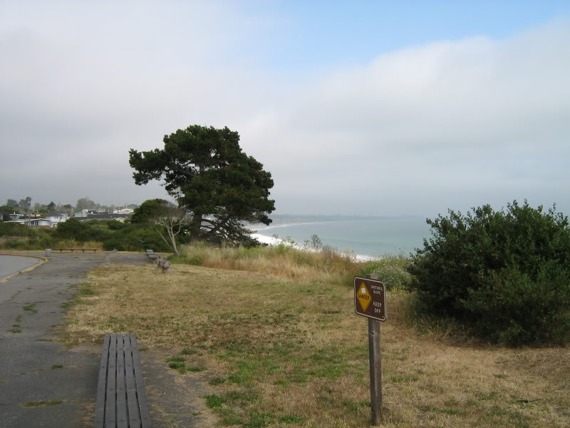 Name:  IMG_0141.jpg
Views: 59
Size:  91.6 KB
