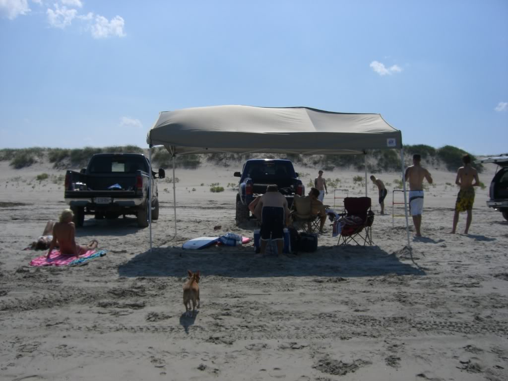 Name: CIMG0233.jpg
Views: 179
Size: 113.7 KB
