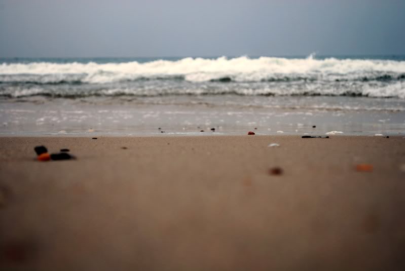 Name:  DSC_0891.jpg
Views: 76
Size:  57.5 KB