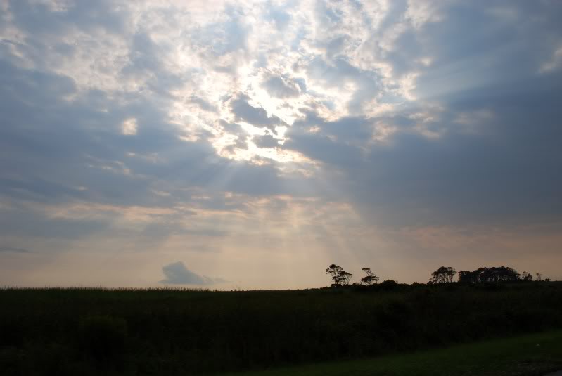 Name:  DSC_0928.jpg
Views: 118
Size:  60.4 KB