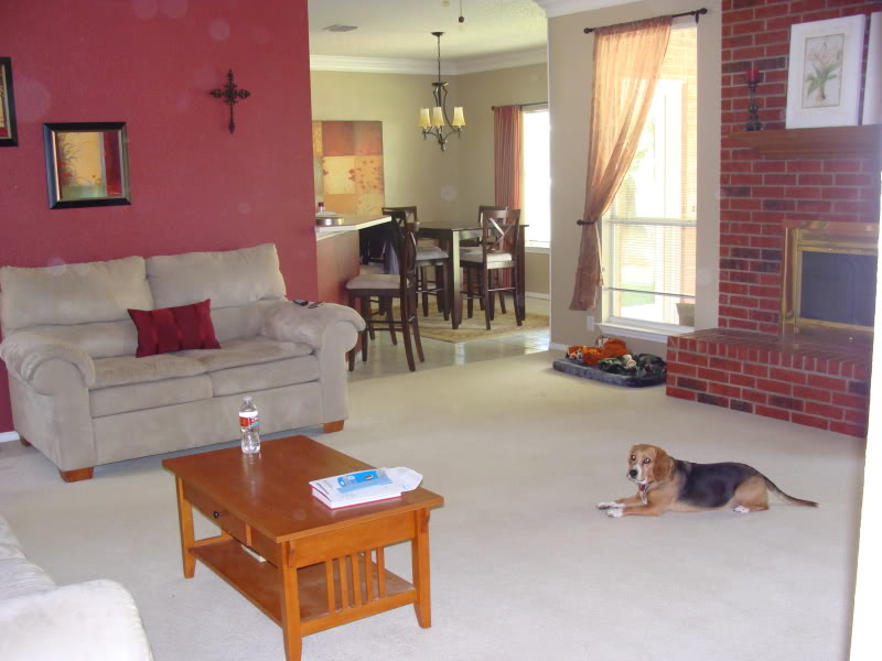 Name:  house010.jpg
Views: 56
Size:  82.1 KB