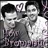 Name:  bromanticavi-1.jpg
Views: 93
Size:  6.3 KB