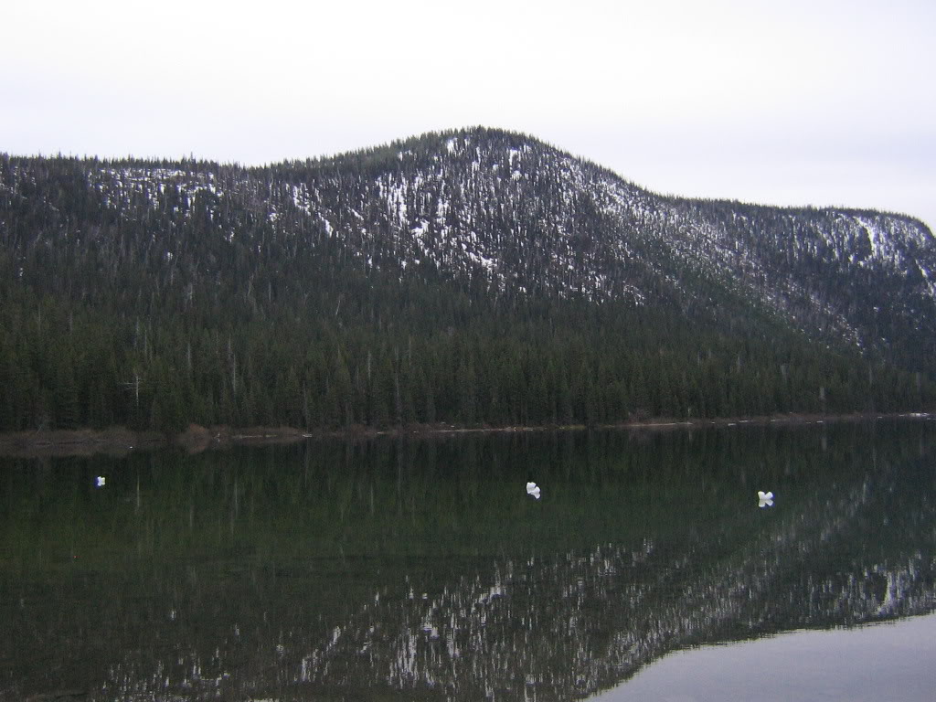Name: waterton008.jpg
Views: 98
Size: 136.4 KB