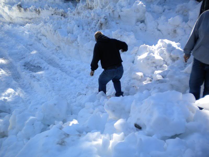 Name:  DSCN0220.jpg
Views: 127
Size:  54.9 KB