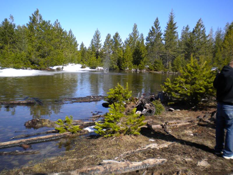 Name:  DSCN0240.jpg
Views: 70
Size:  97.3 KB