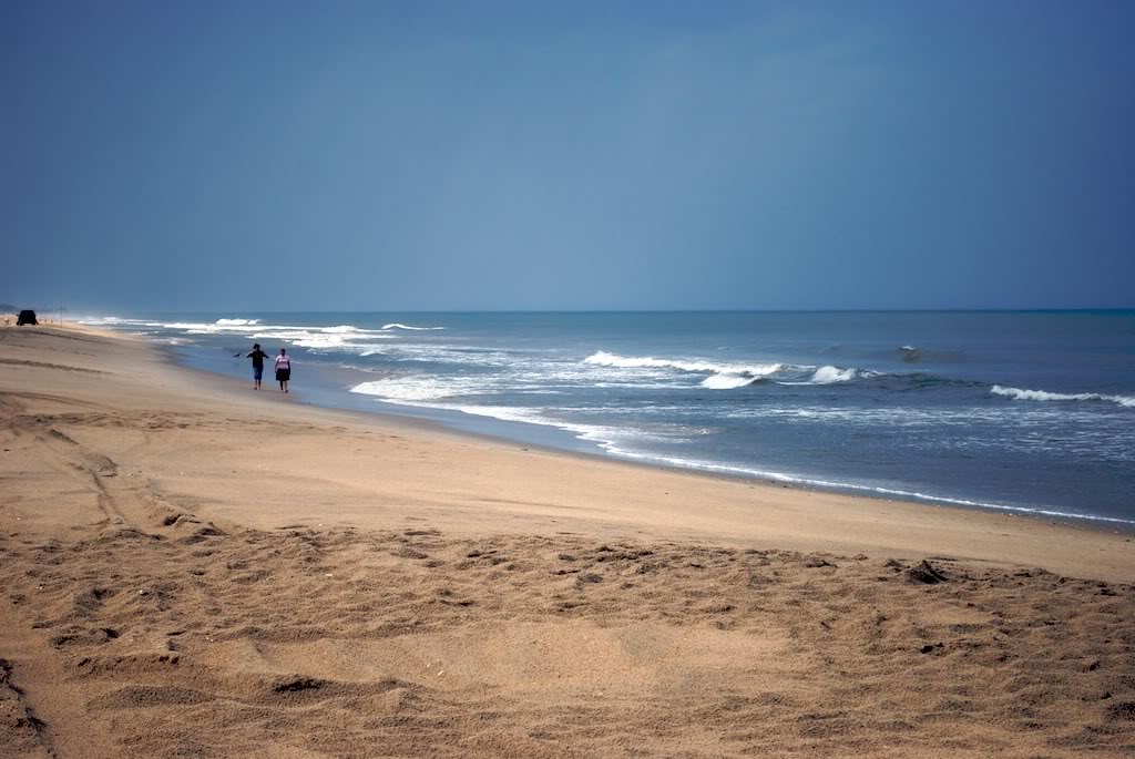 Name:  DSC_0136.jpg
Views: 96
Size:  131.9 KB