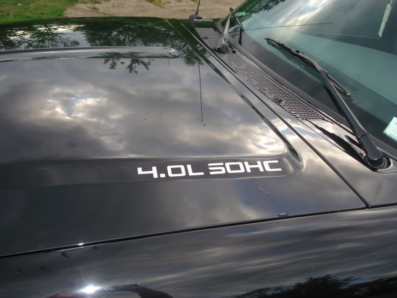 Name:  hooddecal.jpg
Views: 81
Size:  76.0 KB