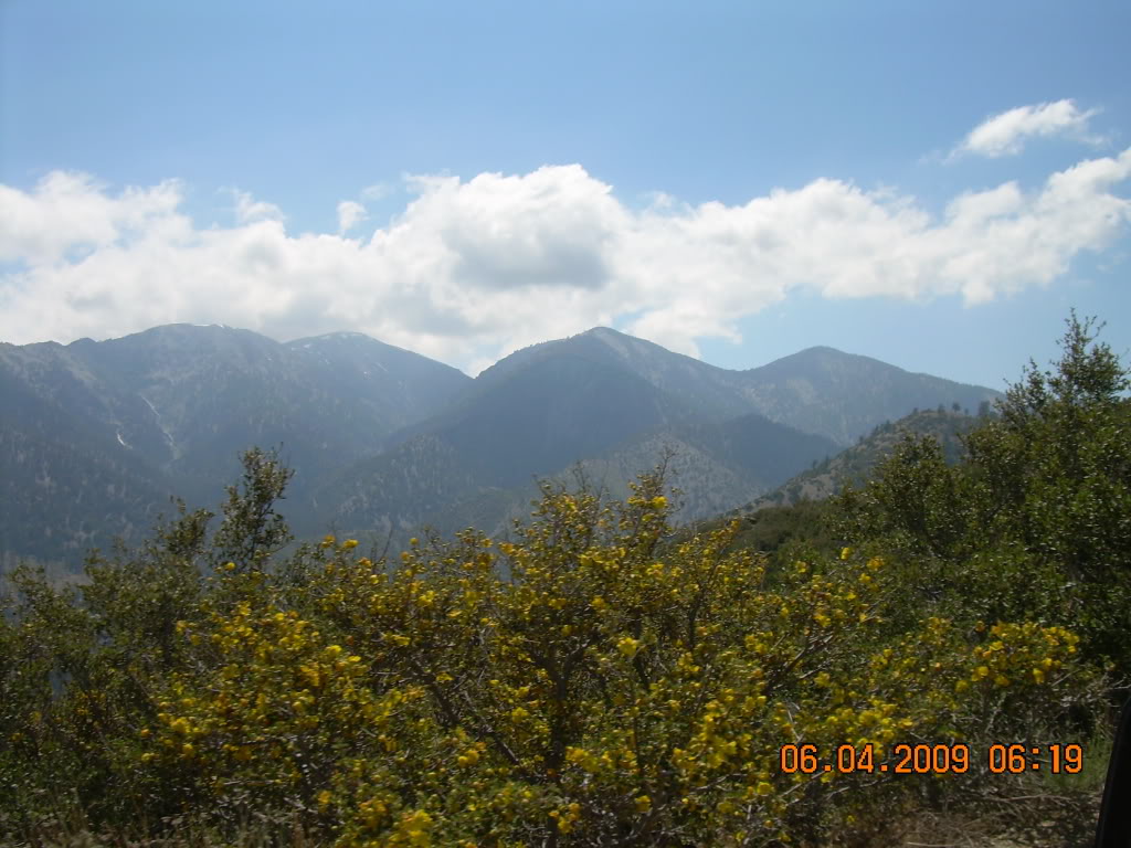 Name:  DSCN0377.jpg
Views: 79
Size:  182.4 KB