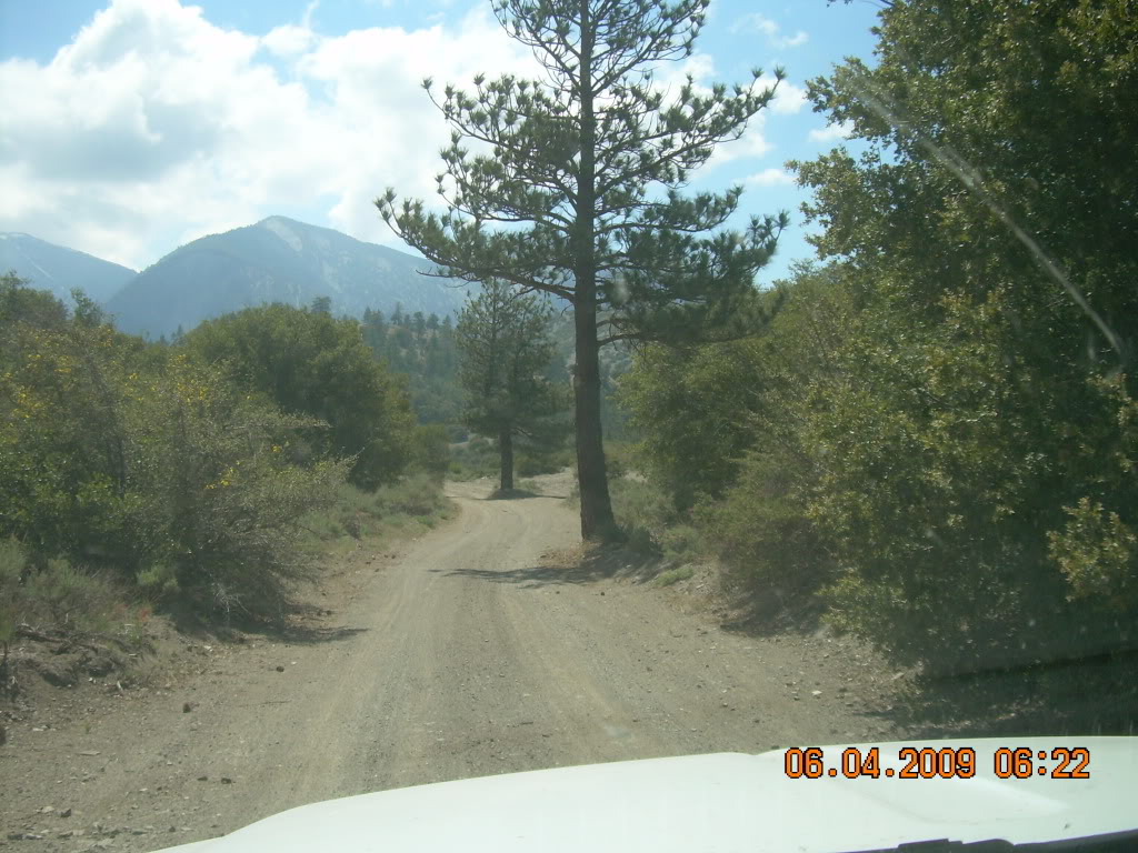 Name:  DSCN0380.jpg
Views: 88
Size:  207.9 KB