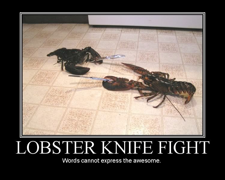 Name:  lobster.jpg
Views: 33
Size:  71.5 KB
