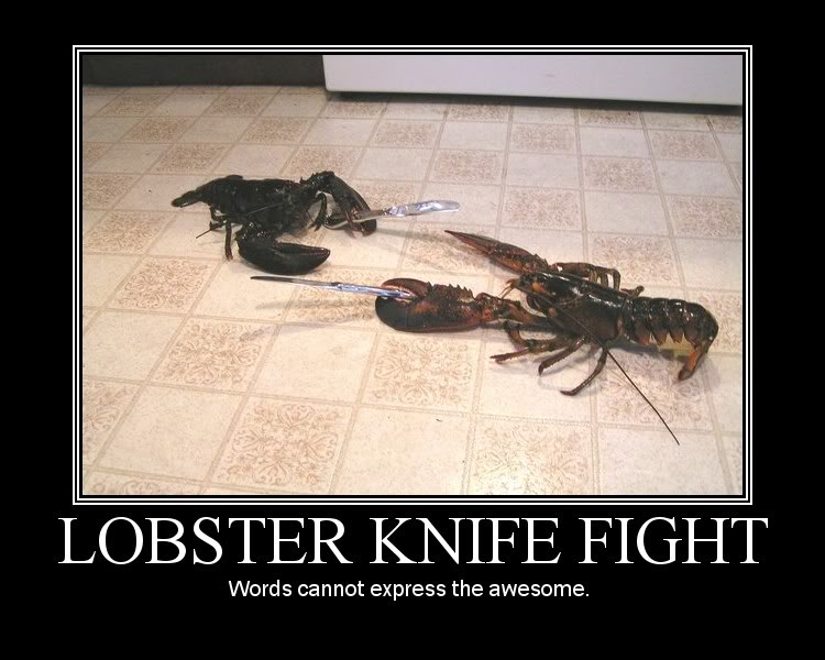 Name:  lobster.jpg
Views: 50
Size:  71.5 KB