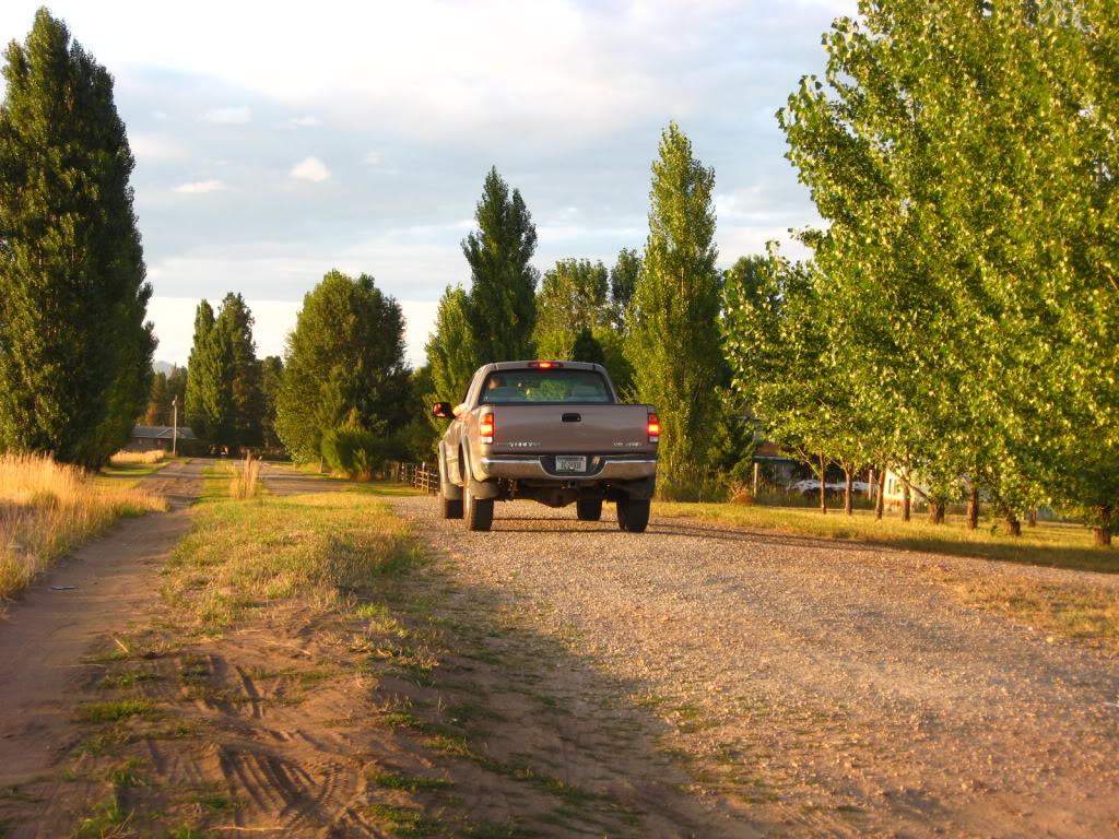Name: Picture291.jpg
Views: 94
Size: 249.7 KB