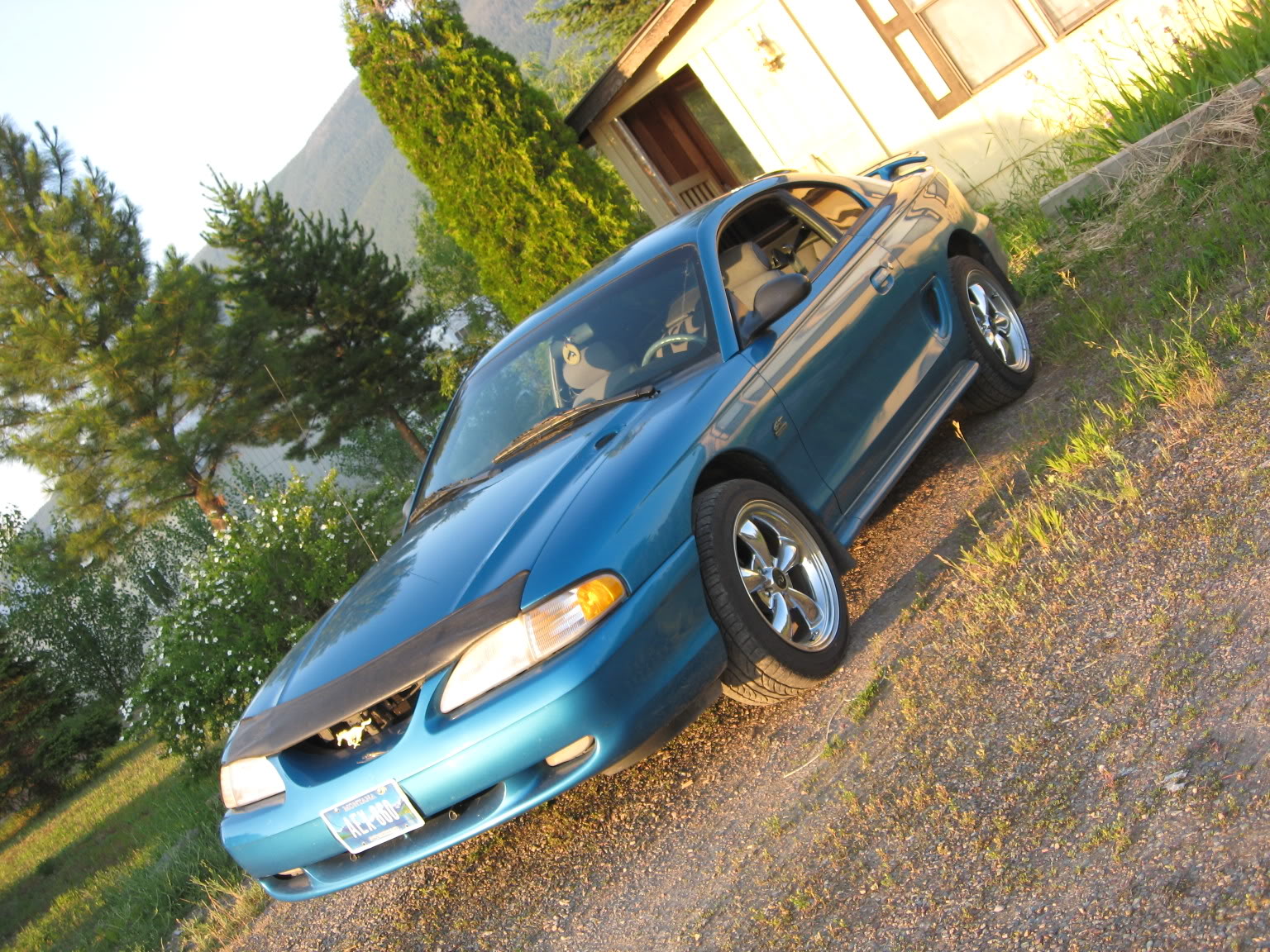 Name: Picture056.jpg
Views: 113
Size: 470.4 KB