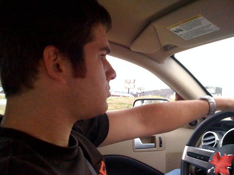 Name:  canadianstang.jpg
Views: 255
Size:  46.8 KB