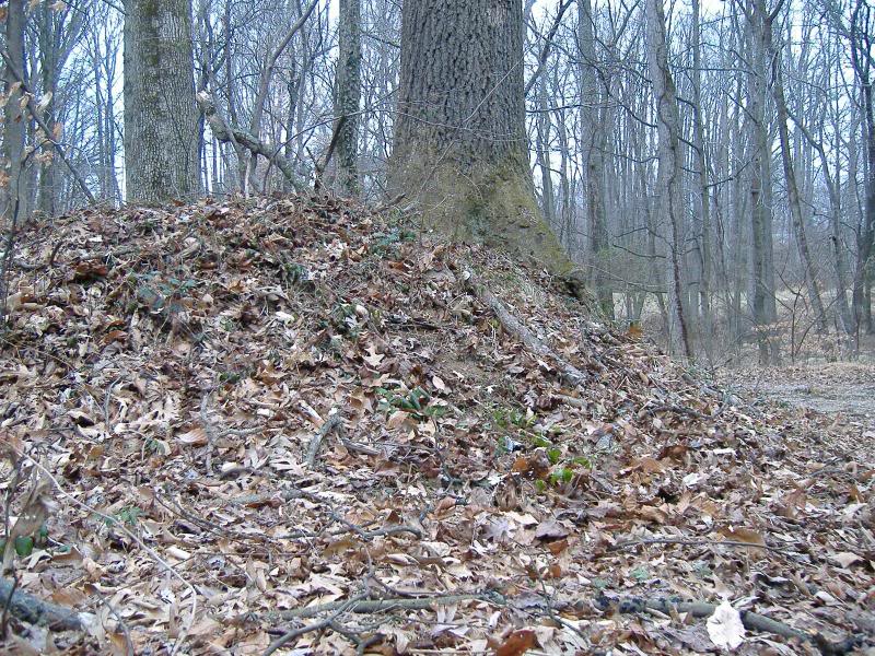 Name:  flex10.jpg
Views: 74
Size:  182.9 KB