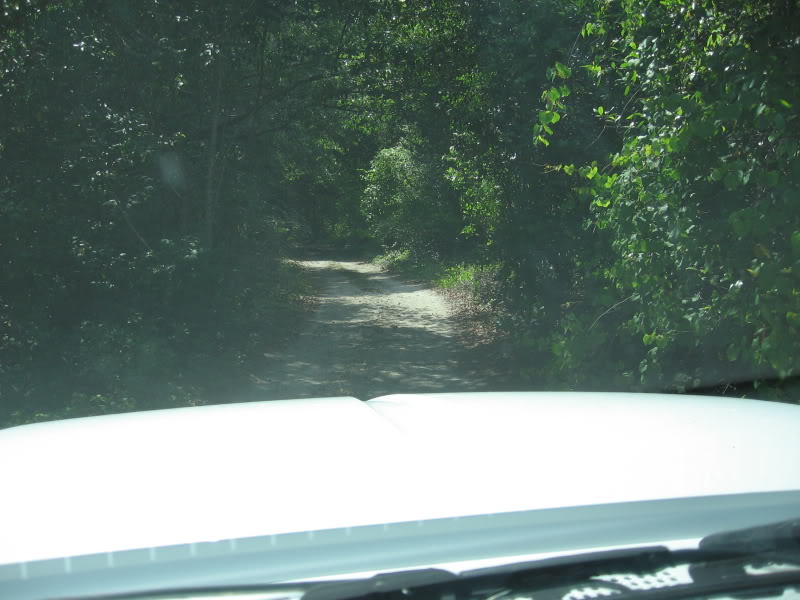 Name:  IMG_2966.jpg
Views: 131
Size:  81.4 KB