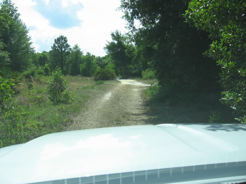 Name:  IMG_2967.jpg
Views: 67
Size:  97.7 KB