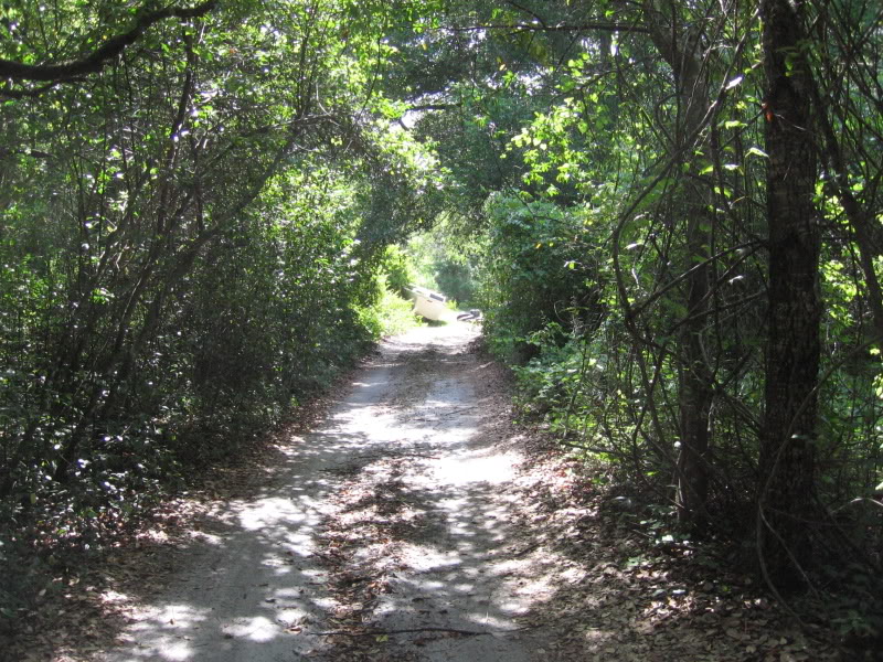 Name:  IMG_2971.jpg
Views: 92
Size:  190.5 KB