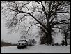 Just a few pics y'all haven't seen yet.-snow3.jpg