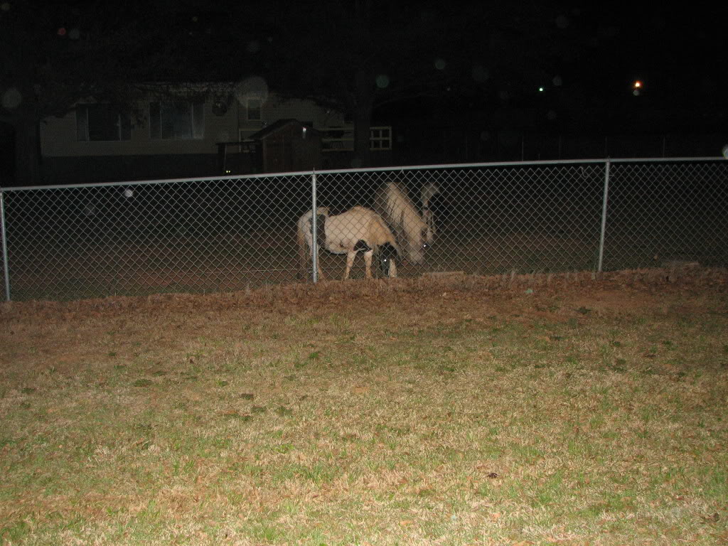 Name:  IMG_2727.jpg
Views: 91
Size:  203.2 KB