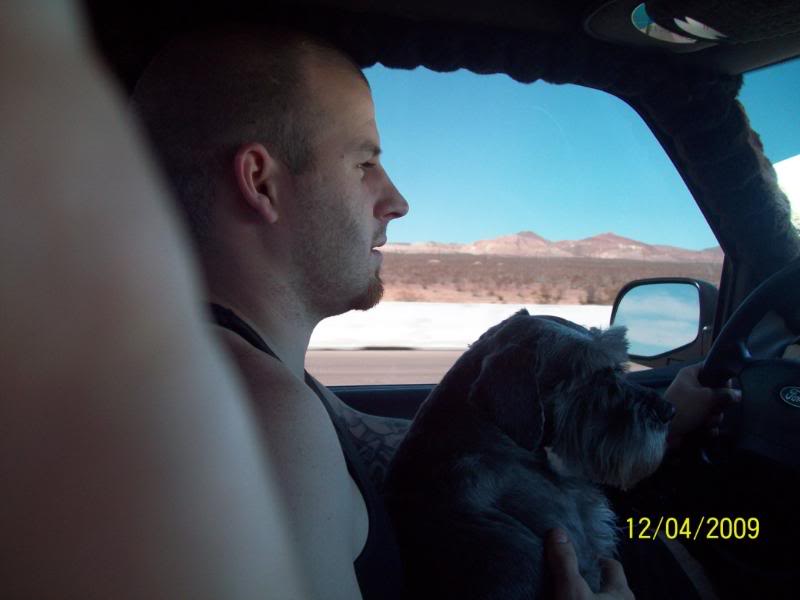 Name:  dog1.jpg
Views: 73
Size:  32.2 KB