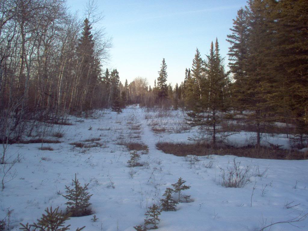 Name: APR09047.jpg
Views: 99
Size: 118.8 KB