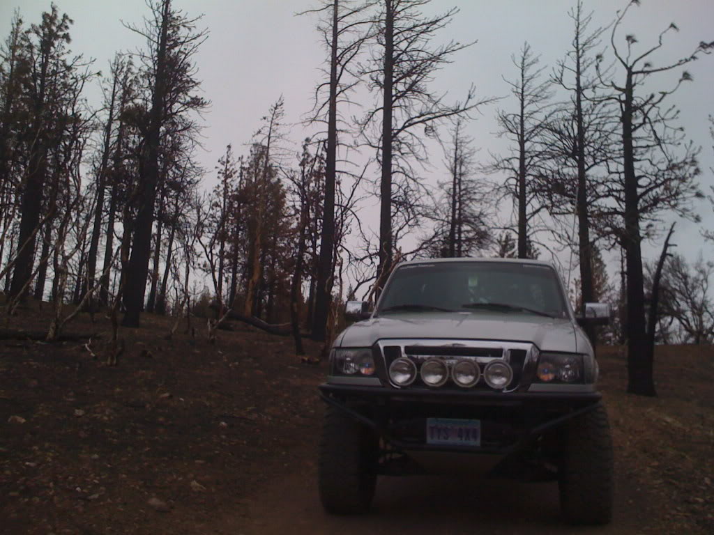 Name: IMG_0201.jpg
Views: 117
Size: 137.4 KB