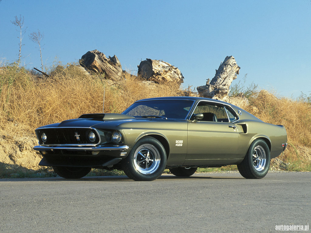 Name:  ford_mustang_boss_429_1969_01_m.jpg
Views: 31
Size:  179.2 KB