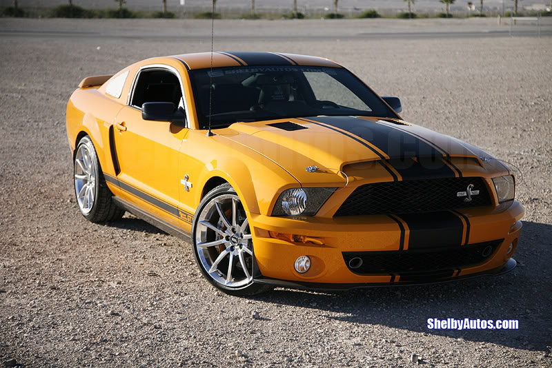 Name:  Shelby.jpg
Views: 124
Size:  136.3 KB