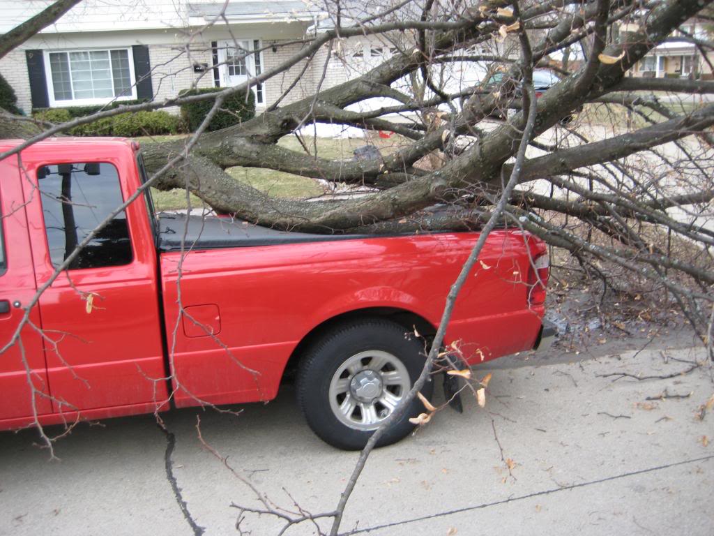 Name:  Ranger030509028.jpg
Views: 133
Size:  134.9 KB